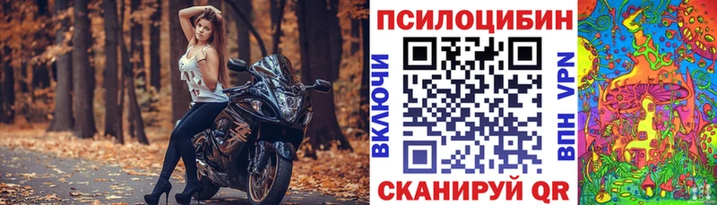 кракен как войти  Олонец  Псилоцибиновые грибы мицелий 